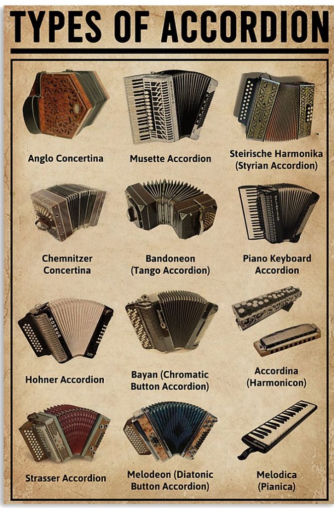 Pop-Up Concertina, The Pop-Up Concertina is an accordion-f…