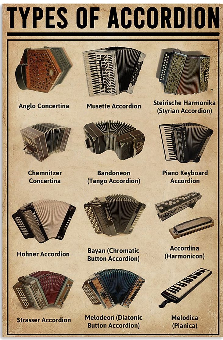 types of accordions